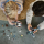 LEGO Indiana Jones 77012 Pościg myśliwcem - 1179199 - zdjęcie 13